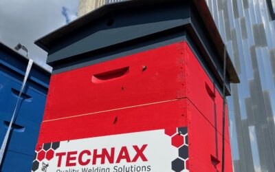 TECHNAX beehive is installed !